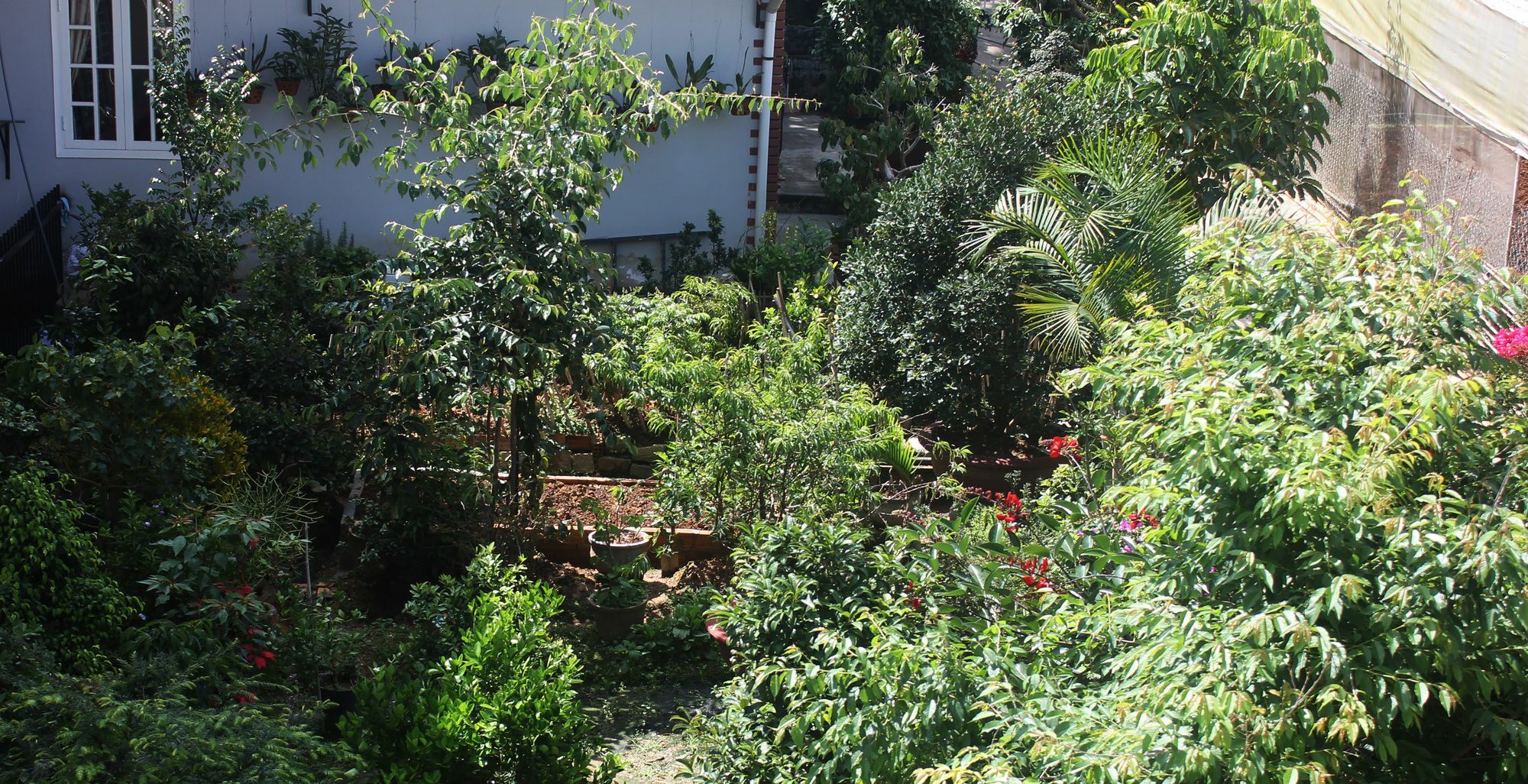 Tree House Hostel Dalat Bagian luar foto
